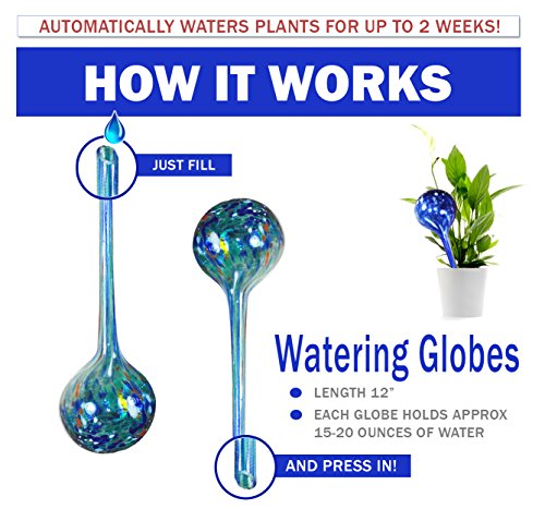 Aqua Plant Watering Globes - Automatic Watering Ball Bulbs - Self Watering Plant Glass Bulbs System (16, Small) - view 2