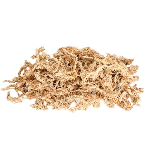 (22325) Orchid Sphagnum Moss Dried, Natural, 1 Pound Mini Bale - view 3