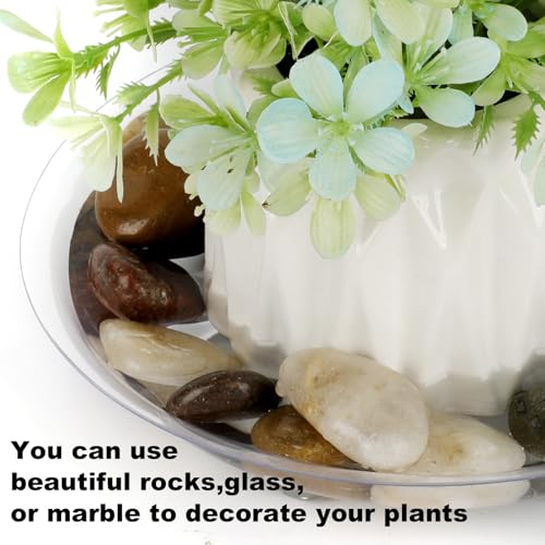 15 Pack Assorted Sizes 6 8 10 Inch Clear Thick Plastic Heavy Duty Sturdy Plant Saucer Drip Trays for pots, 5 Pieces of Each Size (Assorted Sizes 6'', 8'', 10'') - view 5