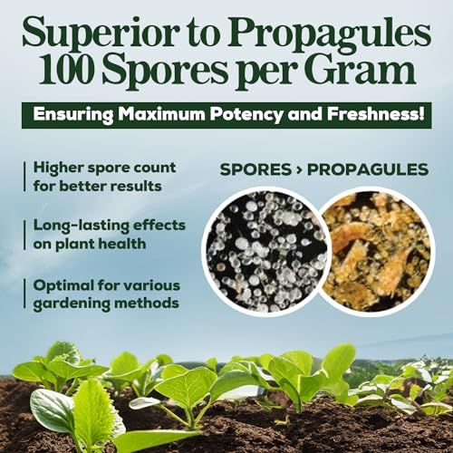 Mycorrhizal Fungi Plant Root Enhancer 5-Strains 125 Gram, Treats 125 Plants - view 5