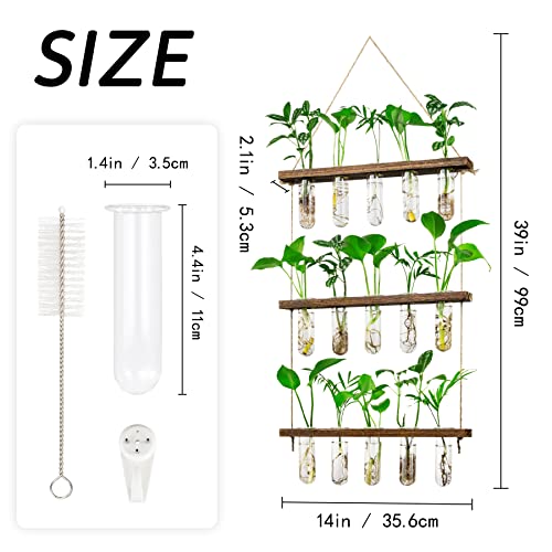 3 Tier Wall Hanging Propagation Stations with 15 Glass Test Tubes, Plant Terrarium Propagation Tubes Planter for Hydroponic Cuttings, Window Decor Gift for Plant Lovers - view 4