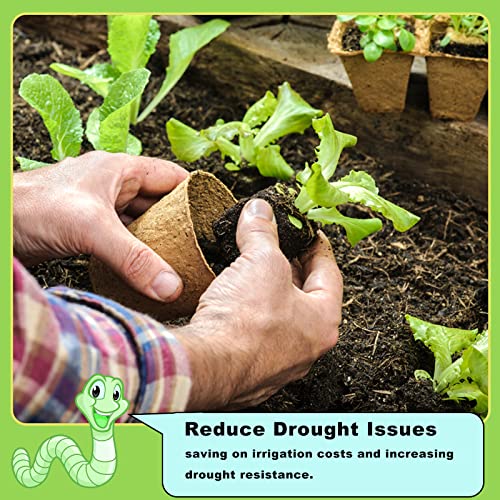 Worm Castings Organic Fertilizer 2.2LB, All Nature Fertilizer for Gardening, Tomato, Strawberry, Flower, and Herbs - view 6