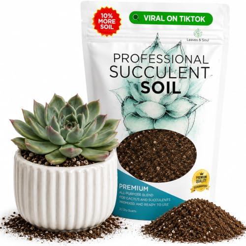 Professional Succulent Soil Mix Large 2.2 Quarts Ready to Use, Premium Potting Soil for Succulents and Cactus, Fast Draining Blend Canadian Peat Coarse Sand Pinebark Indoor Made in USA