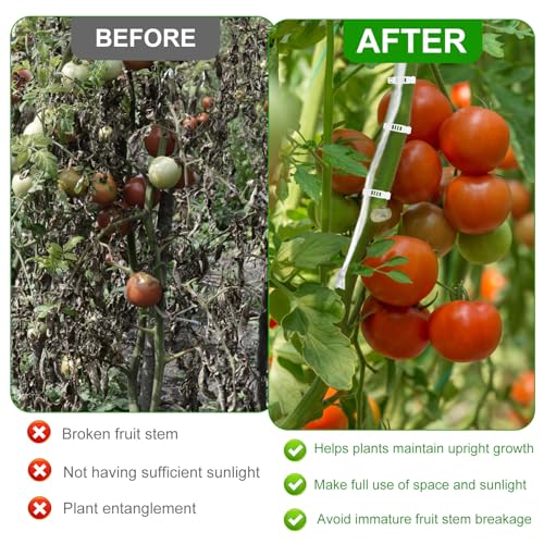 10 PCS Tomato Roller Hooks with String, Plant Roller Hooks with 49.2FT Twine & 40 PCS Tomato Support Clips, Climbing Plants Support Clips Flower Vine Twine Crop Trellis Kit for Tomato Plant Greenhouse - view 6
