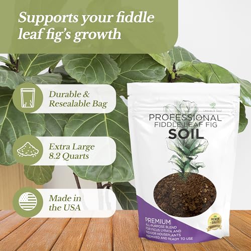 Professional Fiddle Leaf Fig Soil Mix Ready to Use Extra Large 8.2 Quarts, Premium Potting Soil for Fiddle Leaf Fig Indoor Houseplants, Peat Sawdust Coarse Sand Pinebark Made in USA (Pack of 2) - view 3