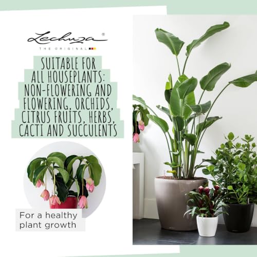 19562 PON Mineral Plant Substrate Potting Mix for Indoor Gardening, 12 Liter Bag, Grey - view 5