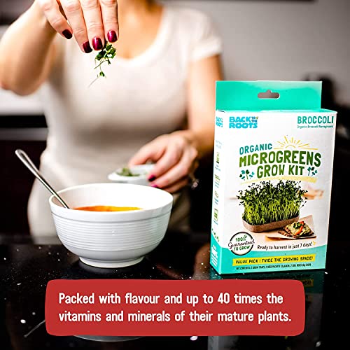 DIY Microgreen Grow Kit, 6-Grow Variety Pack - view 6