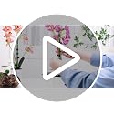 110 Pcs 15 Inch Plant Support Kit for Small Orchids, Stakes, Clips - view 7