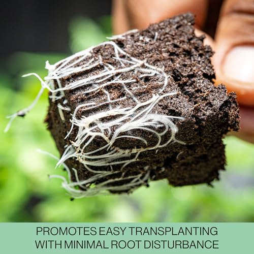 Seed Starter Trays, 144 Cells (24 Trays - 6 Cells Per Tray) + Plant Stakes - view 4