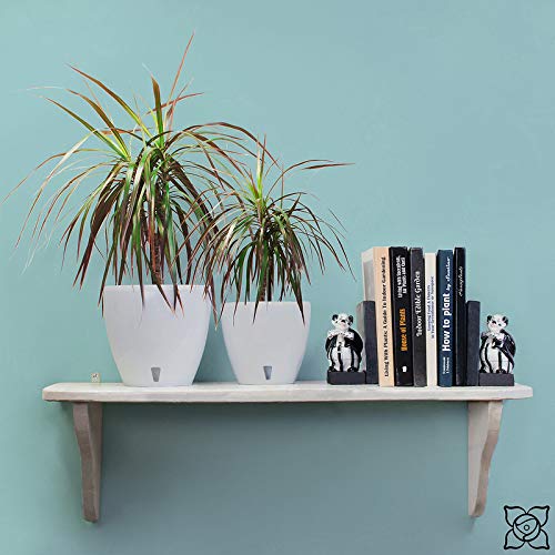 6.7 Inch Deco Self Watering Pots for Indoor Plants in Cream (Set of 3) - Decorative Flower Pot with Water Level Indicator and Drainage Cartridge for All House Plants, Flowers and Herbs - view 5