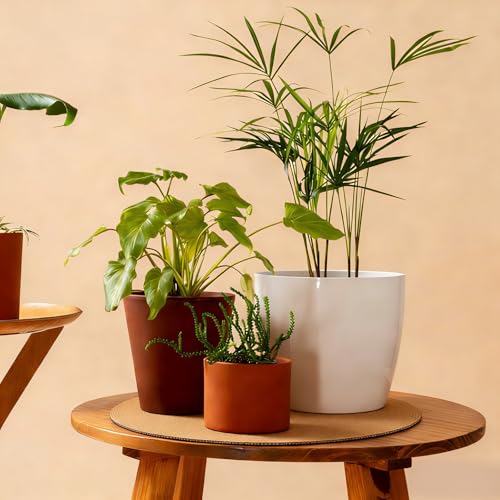 2 Pcs Large Cork Plant Coasters 14 Inch Double Layers Thicken Planter Coaster Plant Pot Saucers Waterproof Non-Slip Mat for Indoor Outdoor Plants Home Floor Protection - view 6