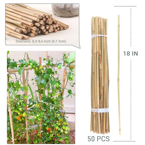 50Pcs / 18 inch Bamboo Plant Stakes for Indoor Outdoor Plants, Garden Plant Support Sticks, Poles for Tomato Vegetables Beans Trees Potted Climbing Plants(0.32''-0.4'') - view 5