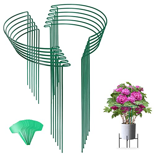12 Pack 24 Inch Tall Snake Plant Support Stakes with 15 Twist Ties