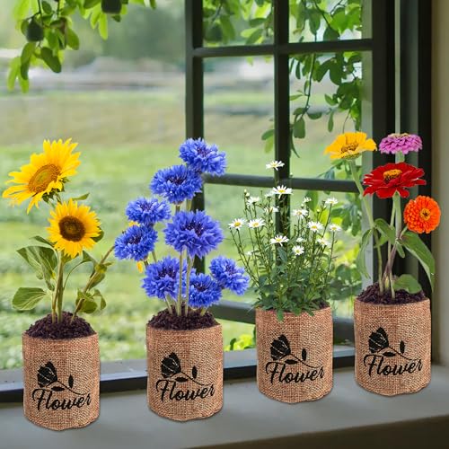 Indoor Daisy Garden Starter Kit, 4 Flower Seeds Growing into Shasta Daisy, Cornflower, Sunflower, Zinnia, Including Complete Gardening Tools for Women Men & Beginners - view 5