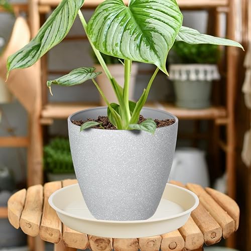6 Pack of Plant Saucer Tray 4 6 8 10 12 14 17 19 22 25 inch, Heavy Duty Plastic Pot Plant Drip Trays Saucers for Indoors Outdoor, Plant Water Tray for Planters 4-7" (6", Beige) - view 3