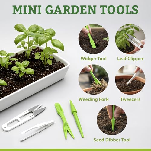 Vegetable/Herb Seeds Variety Pack - 30 Heirloom Seed Gift Kit - Made in USA - view 6