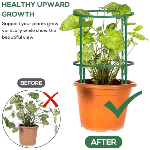 24 Pcs Plant Support Stakes, Half Round Plant Support for Indoor Plants, Stackable Garden Flower Support, Plant Stakes for Tomato, Monstera, Peony, Hydrangea Climbing Plants (6.2 "Wide X 11.6" High) - view 2