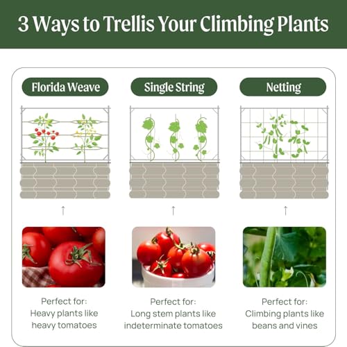 9.5ft Long Tomato Metal Frame Trellis, Garden Trellis for Climbing Plants Like Cucumber Beans Tomatoes & Vines, (Garden Beds Not Included) - view 6