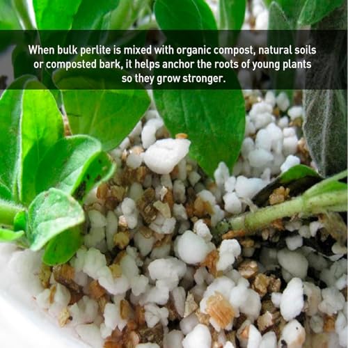 Norcal Perlite Horticultural Organic Certified Premium Screened Coarse Garden Indoor Outdoor Plants Soil and Drainage 4 Cubic Feet (103 Quarts) 1 Bag NEW - view 4