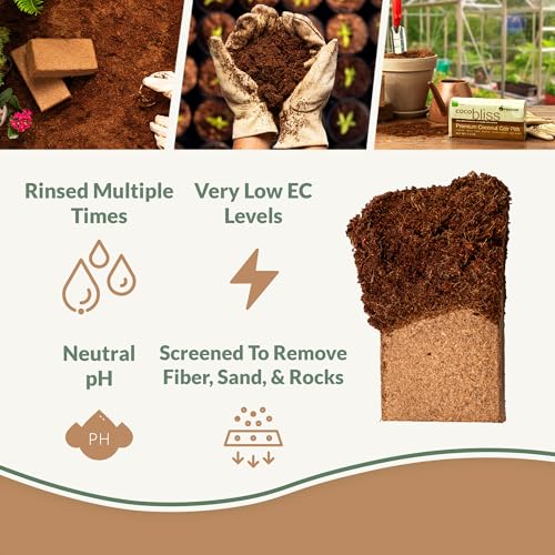 Coco Bliss Coco Coir 650gm Bricks (6-Pack) | Expands Up to 48 Quarts - view 2