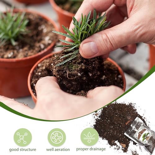 Bonsai Soil Mix 1qt Ready to Use, Organic Bonsai Tree Soil Fits for Small Bonsai Pot, Suitable for Bonsai Seedling, Repotting, or Bonsai Starter Kit - view 3