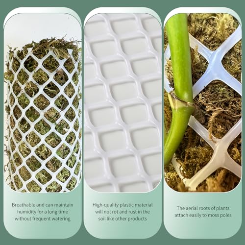 Plastic Moss Poles mesh kit,Plant Poles for Climbing Plants,Plastic Moss Pole Sheets with Different Height,Plant Stakes for Indoor,11.8in×10.8ft Plastic mesh Stackable Works with Sphagnum Moss - view 5