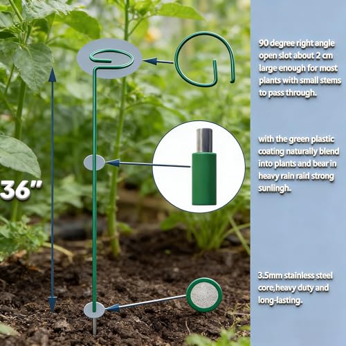 20 Pieces 36 inch Green Single Stem Plant Stakes Flower Support Rings, Gardening Planter Cages for Single Stem Flowers, Amaryllis, Peony, Lily,Narcissus Gladiolus Stakes - view 2