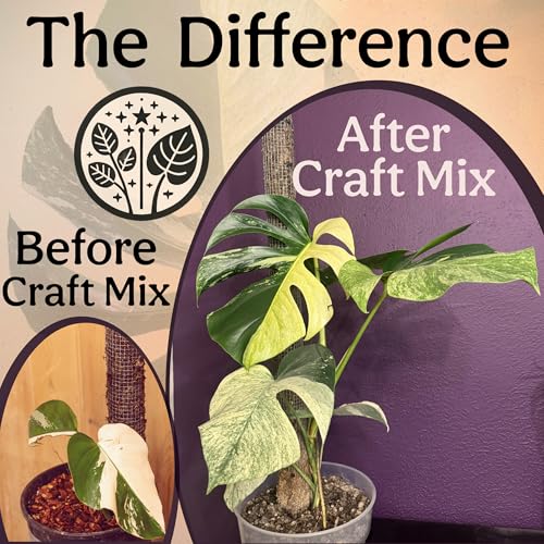 Craft Aroid Potting Mix, Chunky Soil Mix for Monstera, Alocasia, Philodendron, Anthurium & Tropical Plants, Organic Well Draining Indoor Potting Soil for House Plants, Peat Free, 2 QT - view 4