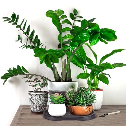 2 Pcs Bonsai Humidity Drip Tray for Plants,12.7 x 8.3 Inch - view 4