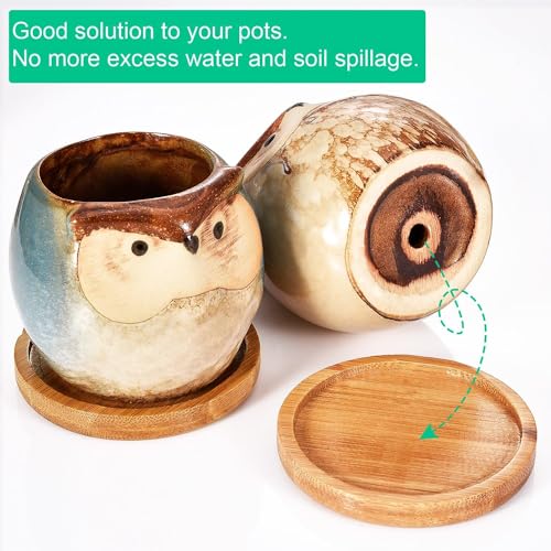 2.52 inch Bamboo Round Plant Saucer Trays for Small Pot,12 Pack - view 4