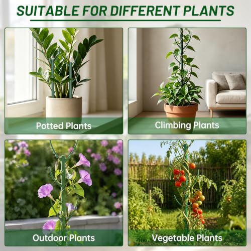 Monstera Plant Support, 6 Pack Upgraded Plant Stakes for Indoor Plants, 0.39 in Thick Stackable House Plant Stakes with Plant Tie & 20 Clips for Pothos, Vine, Climbing Plants - view 5