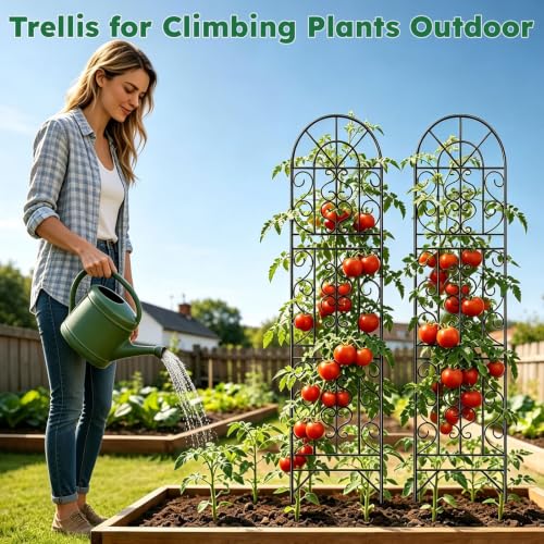 2 Pcs 60" H X 11.8" W Trellis for Climbing Plants Outdoor, Small Metal Garden Trellis for Outside, Sturdy Support Garden Plant Trellis Arch for Rose Cucumber Flower Vine Decor - view 6