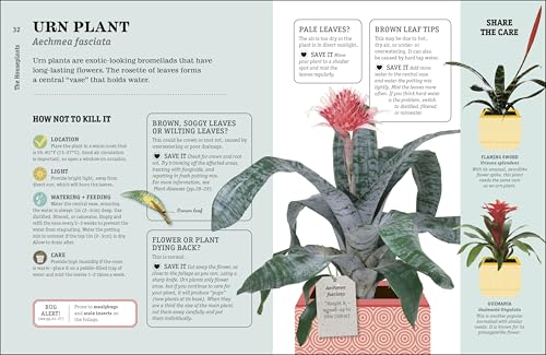 How Not to Kill Your Houseplant New Edition: Survival Tips for the Horticulturally Challenged - view 5
