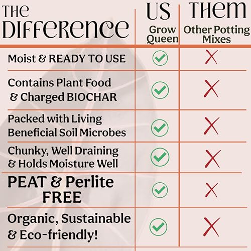 Craft Houseplant Potting Mix, Organic Indoor Potting Soil for House Plants, Chunky Well Draining Plant Soil for Pothos, Snake Plant & Tropical Plants, Peat Free, 2 Quart - view 6