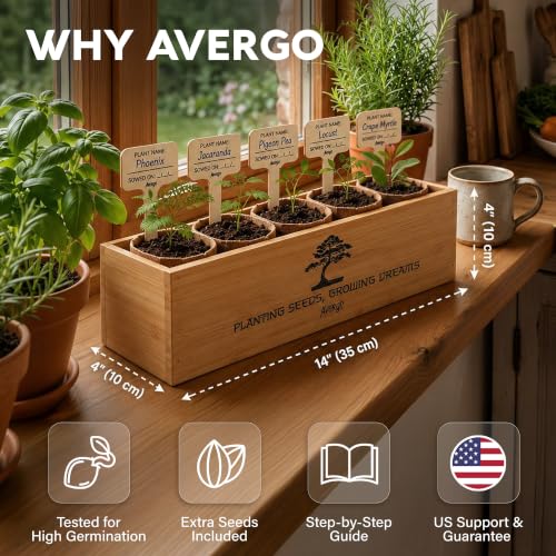 Bonsai Tree Kit Deluxe - Growing 5 Unique Japanese Bonzai Trees - view 4