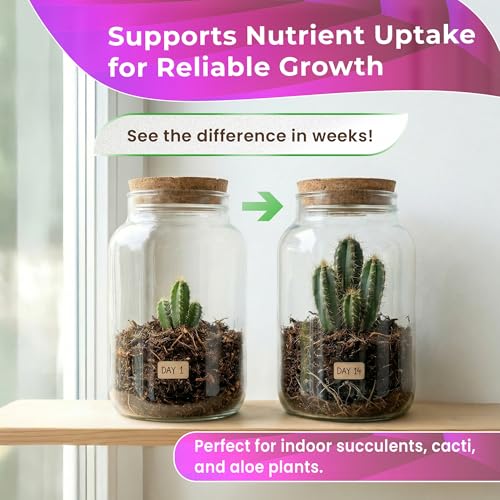 Professional Terrarium Soil Mix 2.2 Quarts Ready to Use, Premium Terrarium Potting Soil for Succulents Cactus Aloe Plants, Pine Bark Peat Coarse Sand, Well Draining Terrarium Mix Made in USA - view 7
