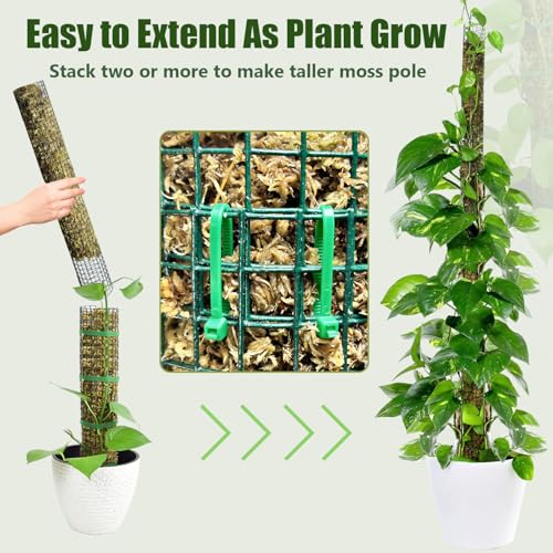 60" Metal Moss Pole, 2 Pack Moss Poles for Plants Monstera, Stackable Sphagnum Moss Pole, Plant Poles for Climbing Plants Work with Sphagnum Moss(2 Pack 60") - view 3