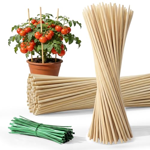 Plant Stakes for Indoor Plants - 40PCS Plant Support Sticks, 9.8"