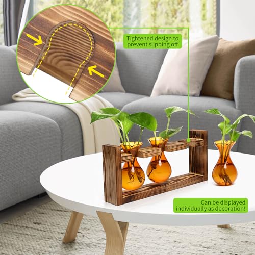 Plant Propagation Station Plant Terrarium Unique Birthday Gifts for Women - view 5
