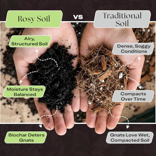 Plant Food, Organic Fertilizer for Indoor Plants, 4 Quarts - view 4