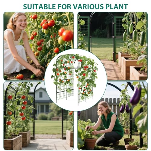 124*180*220 cm Arch Iron PE Plant Trellis with Plastic Connectors - view 5