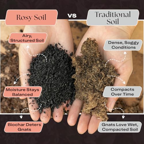 Cactus & Succulent Potting Mix, 4 Quarts - view 3