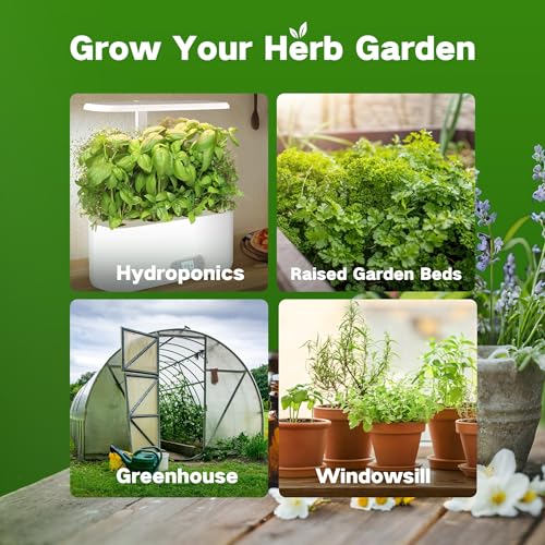 Lush&Dew Ancestral Apothecary Medicinal Tea Herb Seed Chest, Gardening Gift - view 5