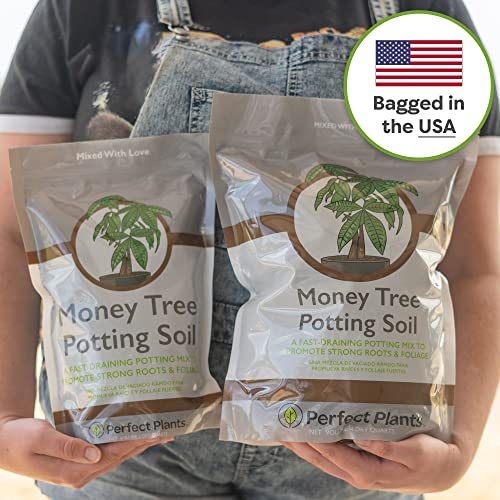 Money Tree Potting Soil, 2 qt, Indoor Coco Coir Mix - view 6