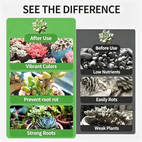 5lb Mix Pumice Lava Rocks, Soil Amendment for Bonsai & Succulents - view 2
