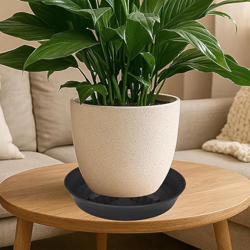 4 Pack Plant Saucer 8 inch, 10 12 14 17 inch, Plant Stand Plastic Plant Saucers for Indoors Outdoor, Heavy Duty Flower Planter Drip Trays for Pots, Pot Saucers for Plants, Grow Bags Saucers - view 6