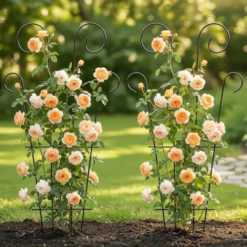 4 Pack 43'' Large Metal Plant Trellis for Climbing Plants - view 6