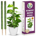 2 Pack 25" Mesh Moss Pole for Climbing Plants, Pre-Made Moss Pole