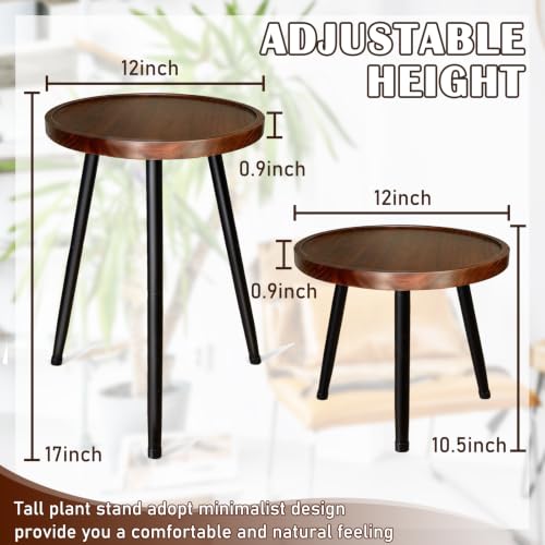 Acacia Wood Tall Plant Stand Indoor, Wooden Plant Stand Indoor Tall Plant Holder Table with Raised Edges Plant Riser for Inside Pot (12"x17") - view 3
