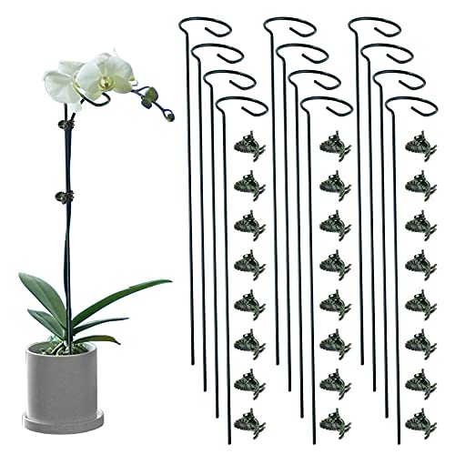 12 Pack Plant Support Stakes with 24 Pcs Plant Clips, Garden Single Stem Support Stake, Plant Cage Support Ring for Indoor Outdoor Flowers Rose Amaryllis Tomatoes Peony Lily Orchid (16 Inch)
